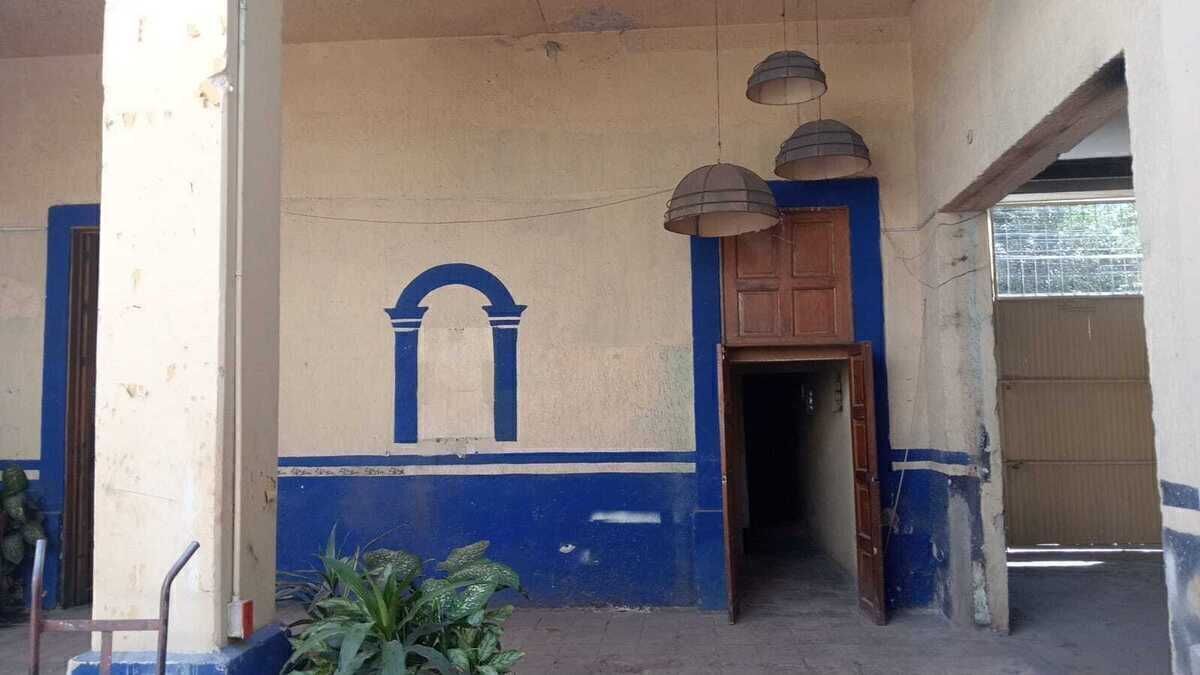 7 de 37