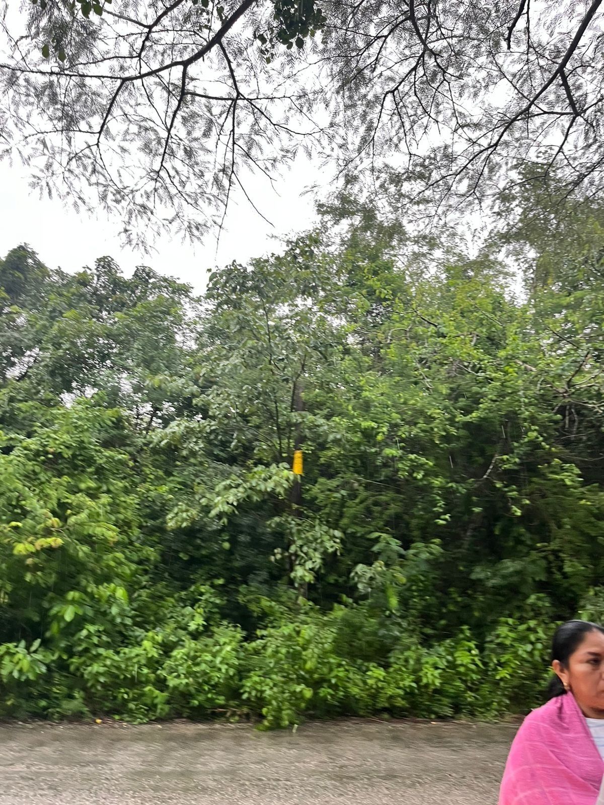 1 de 7