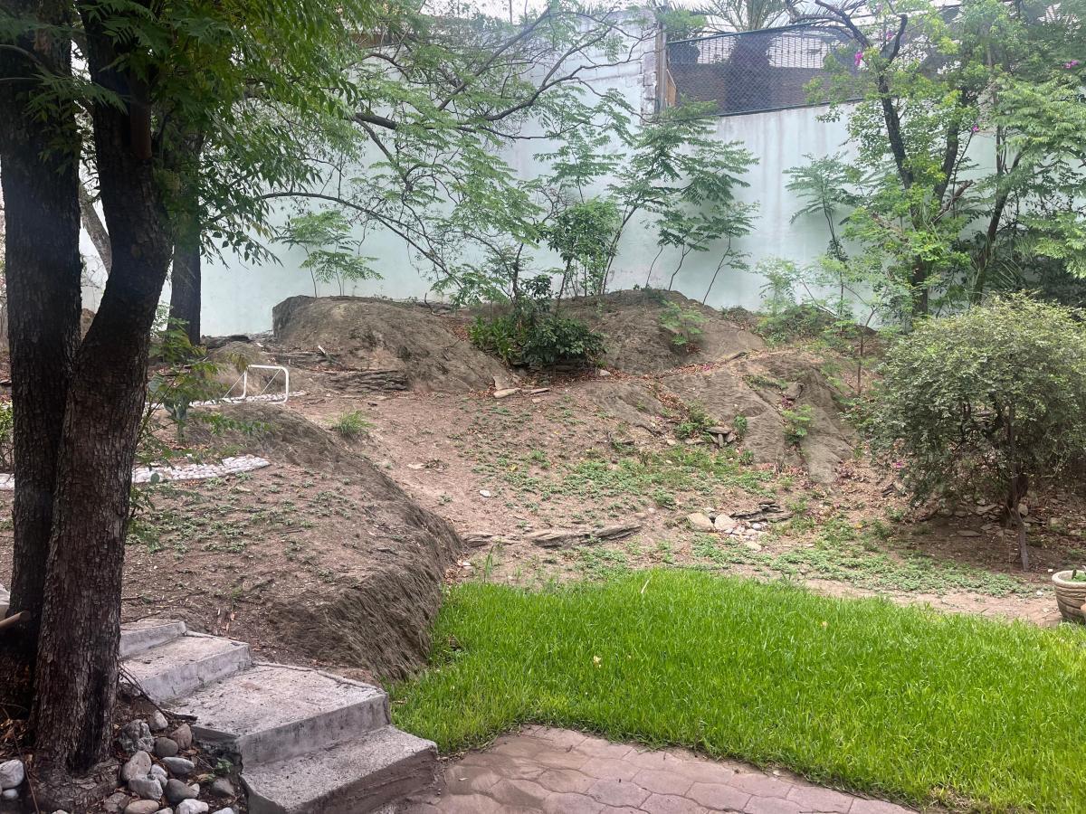 4 de 12: jardines