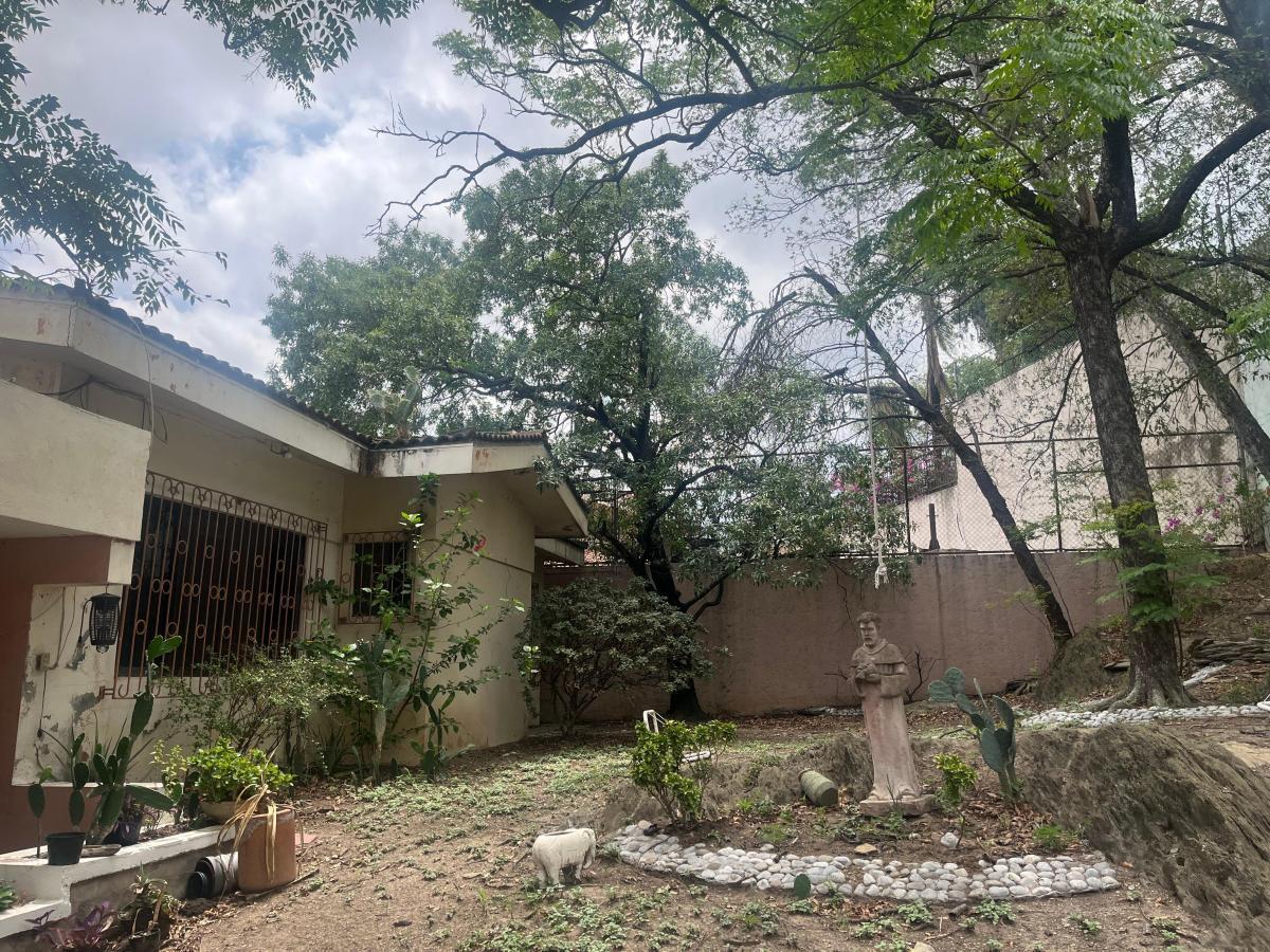 1 de 12: Jardin al fondo