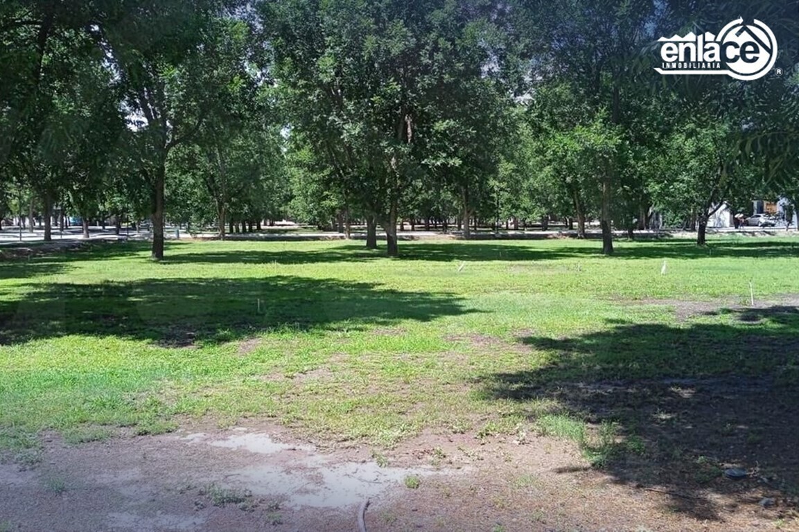 3 de 8