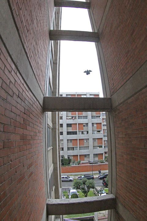 34 de 41