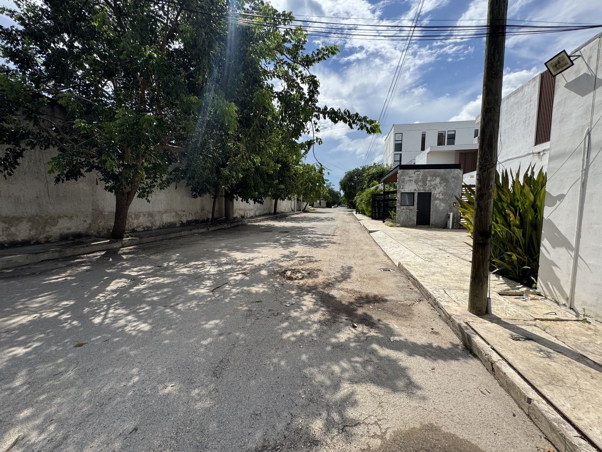 5 de 6