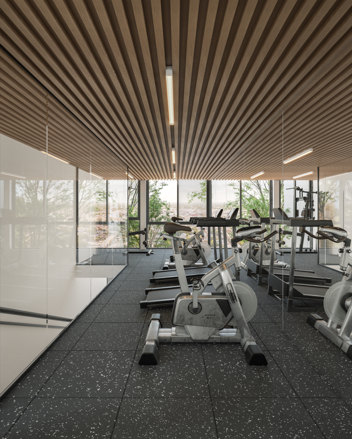 12 de 13: Gimnasio
