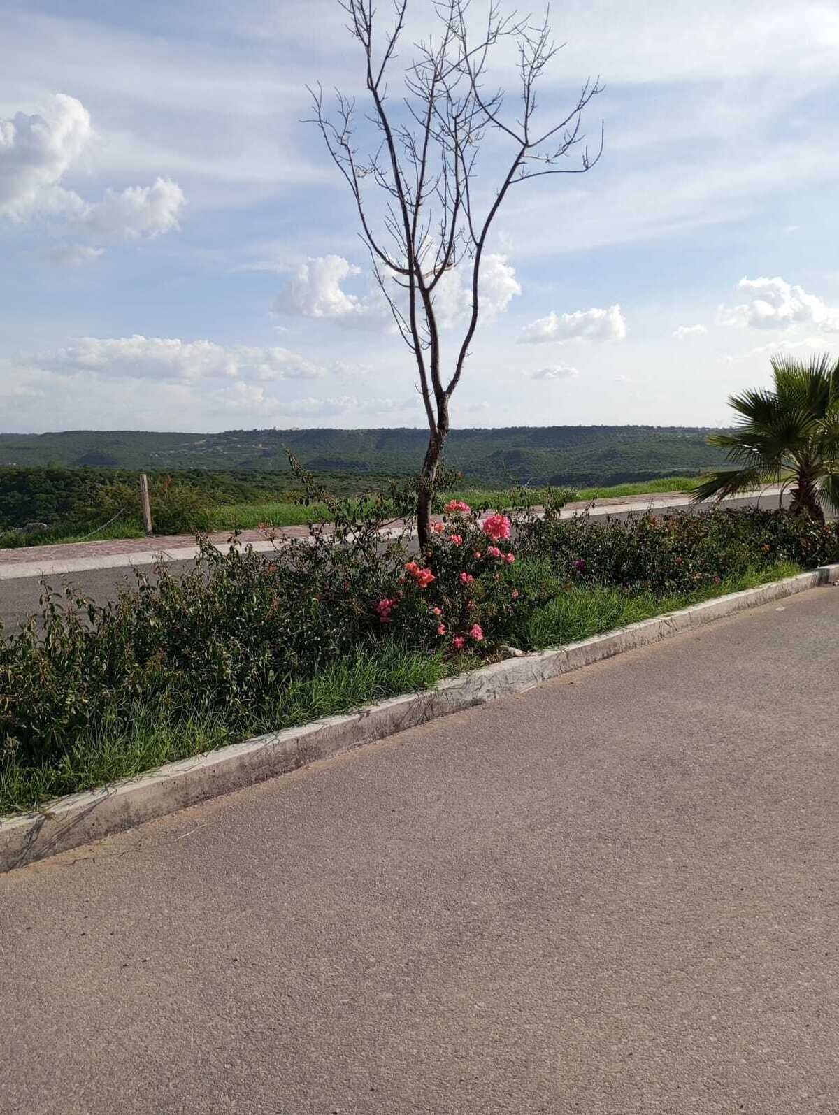 3 de 4