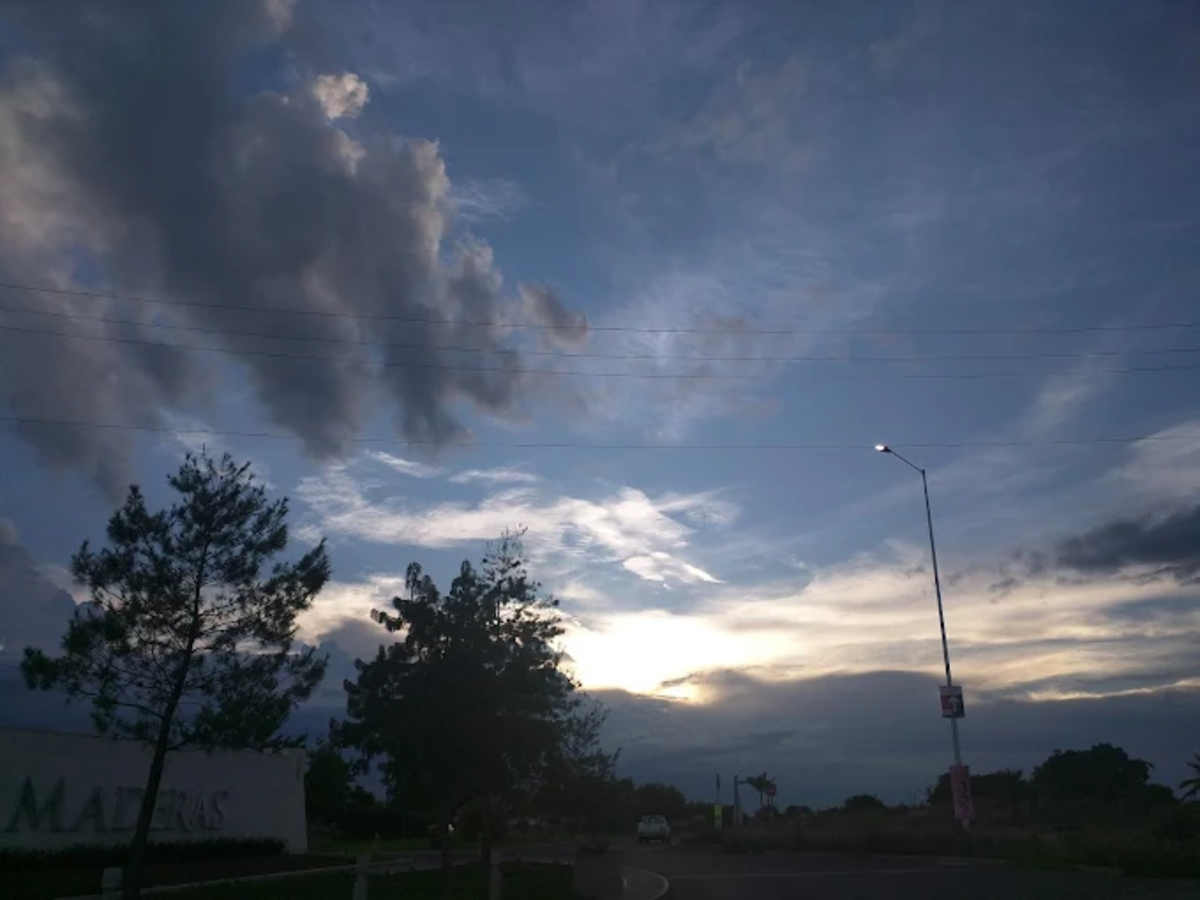 12 de 13