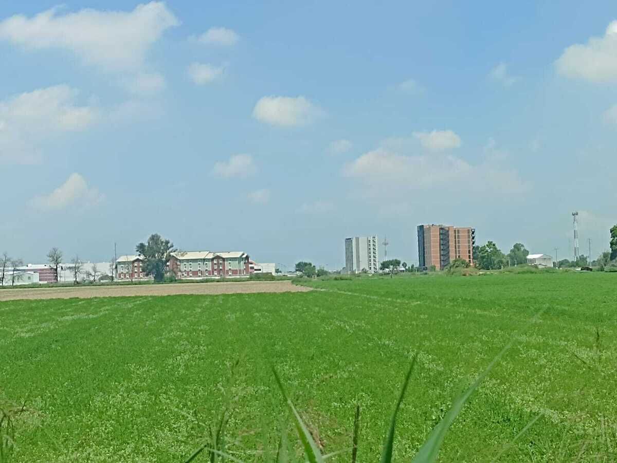 3 de 10