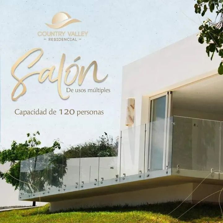 8 de 12