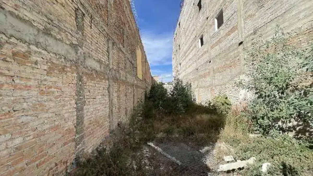 4 de 8