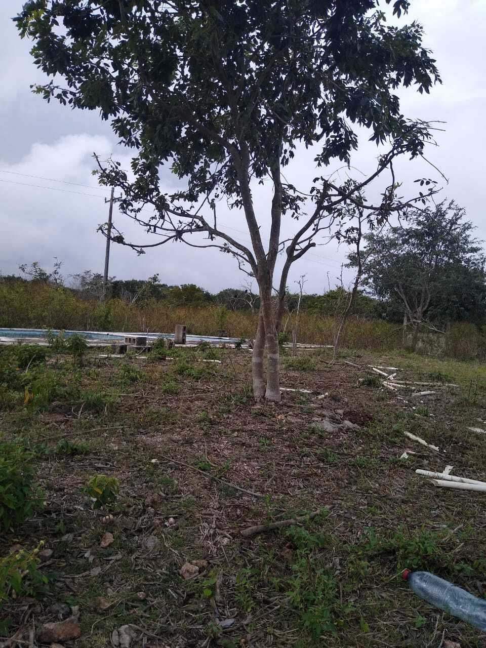 3 de 11
