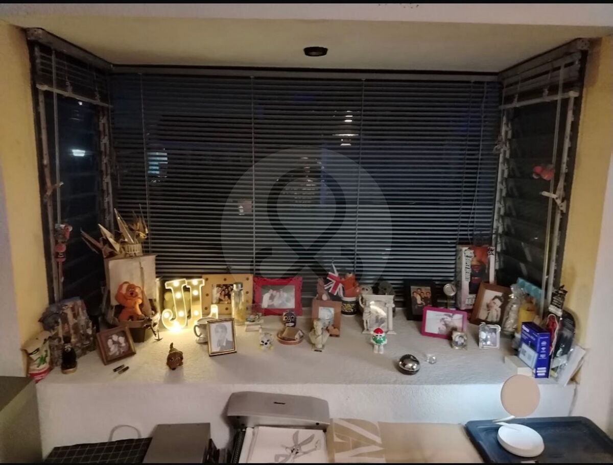 14 de 24