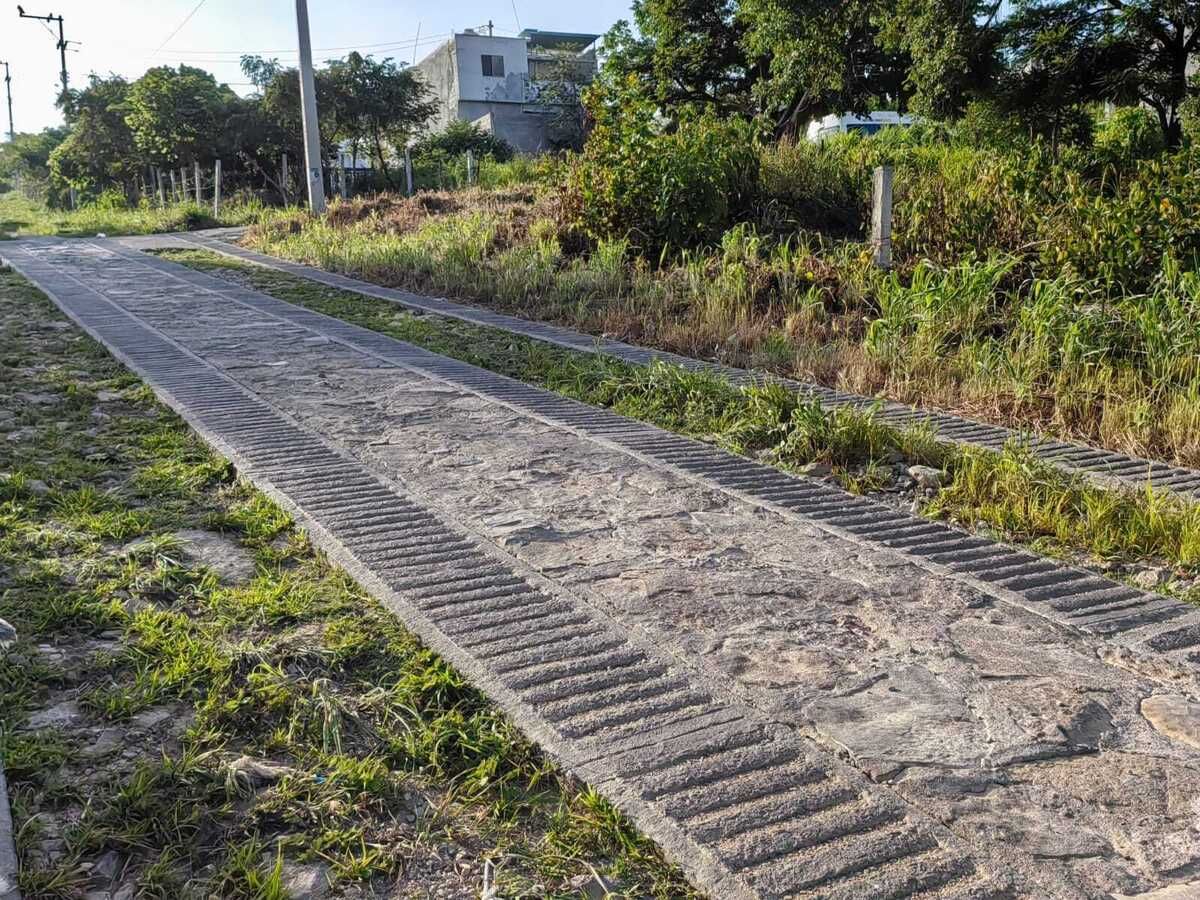 2 de 4: Calle