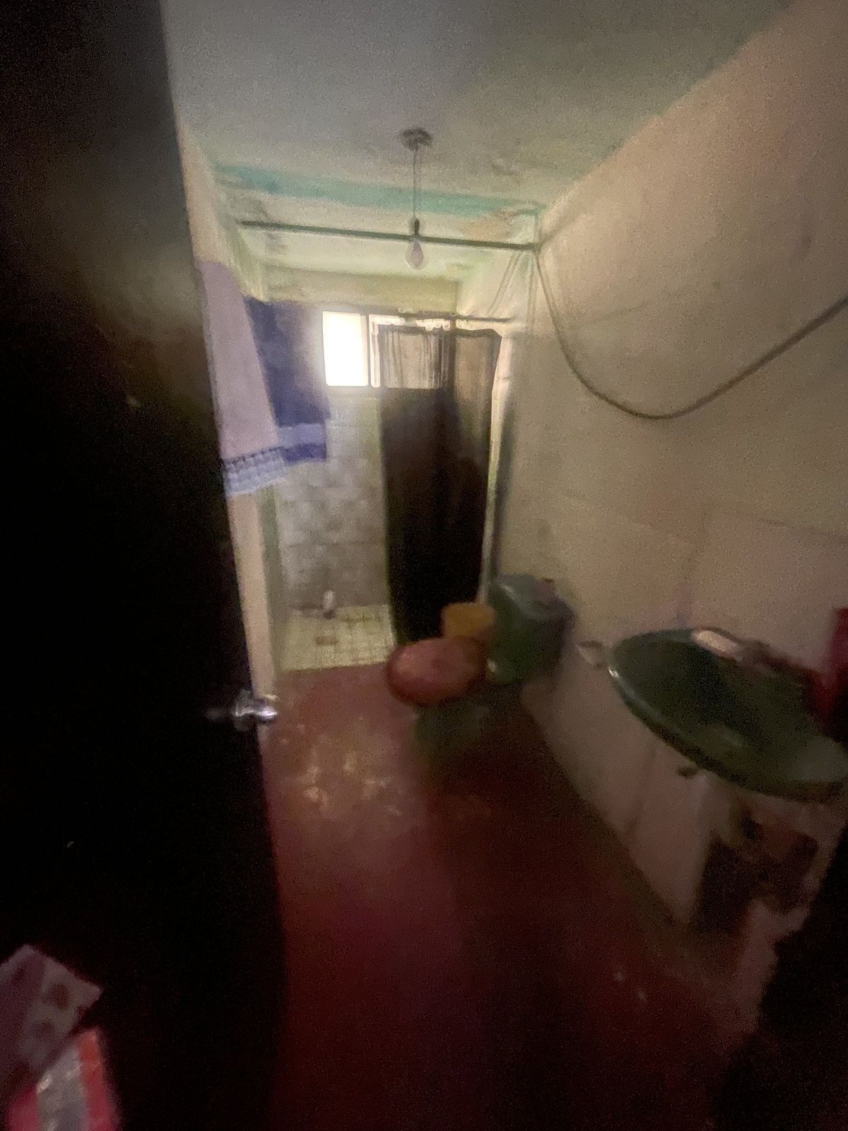5 de 7