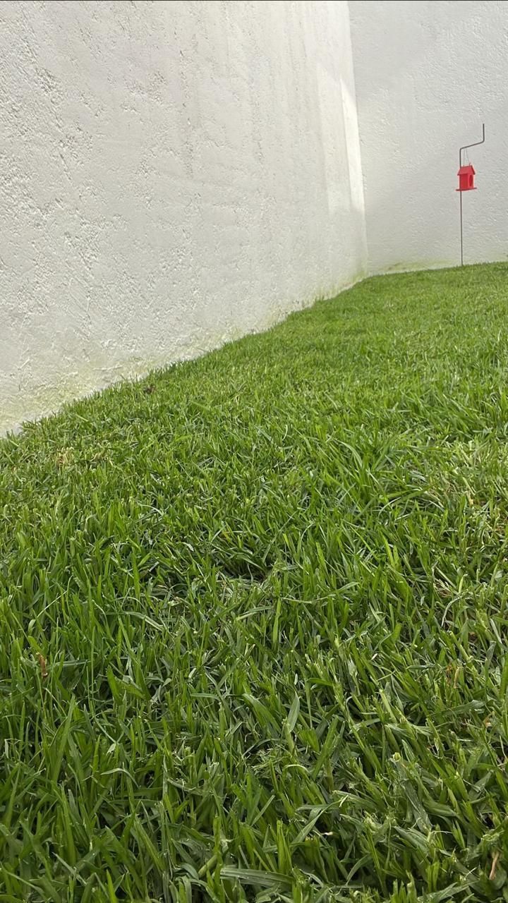 5 de 23