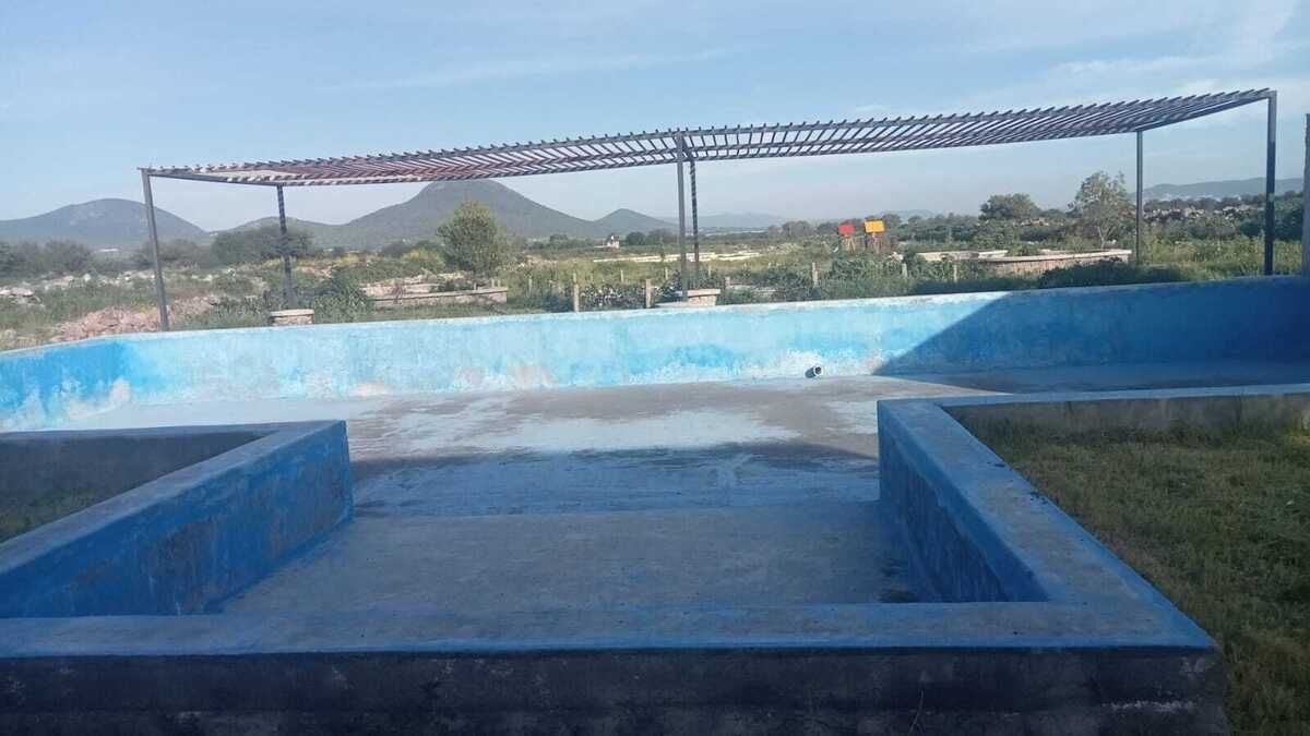1 de 6