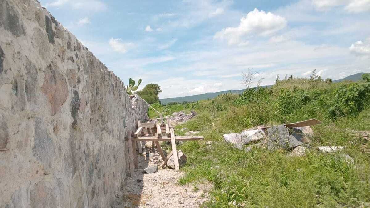 3 de 6