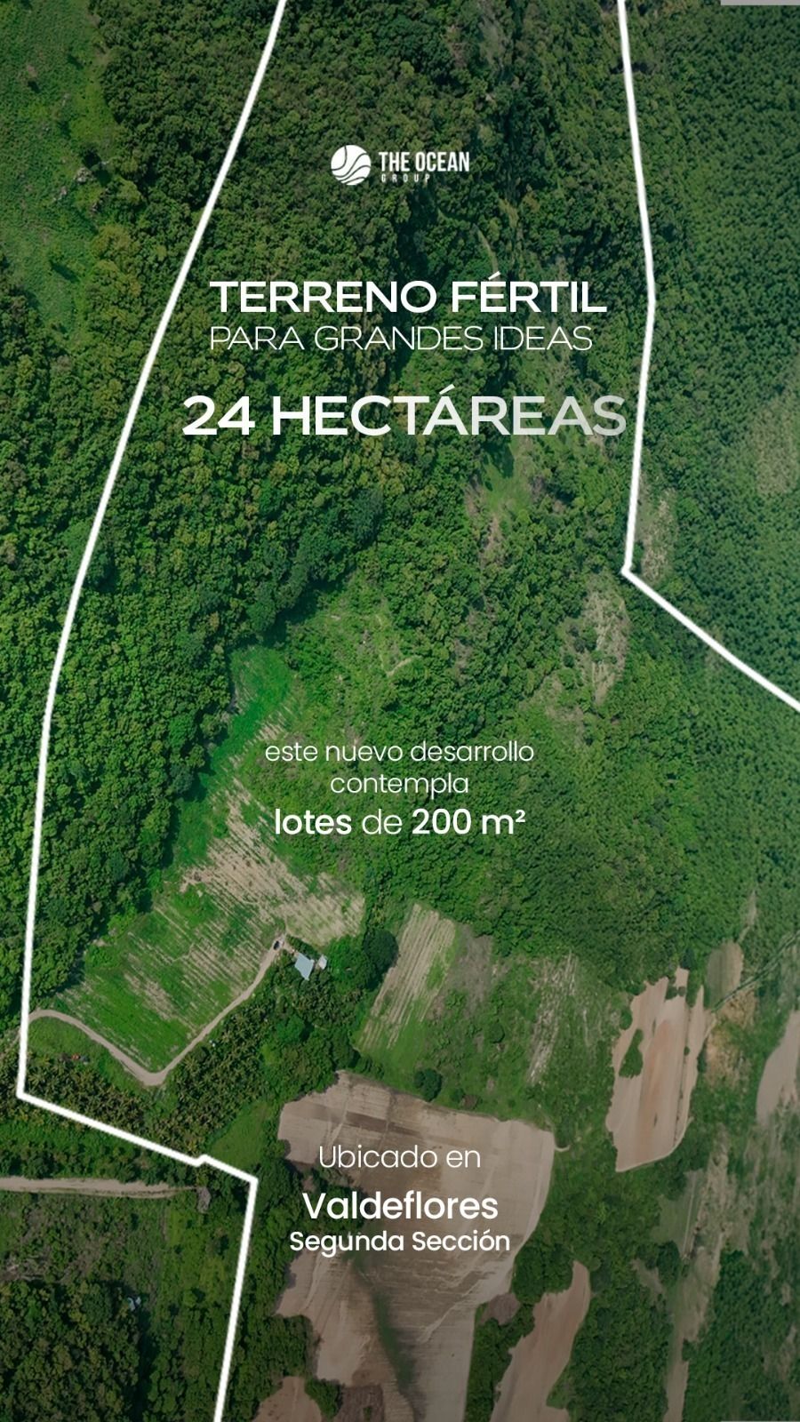 2 de 6