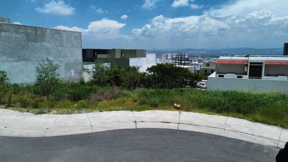 5 de 6