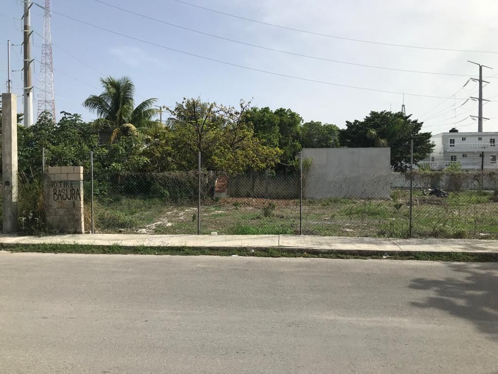 3 de 13