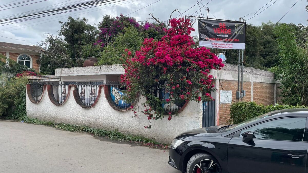 2 de 14