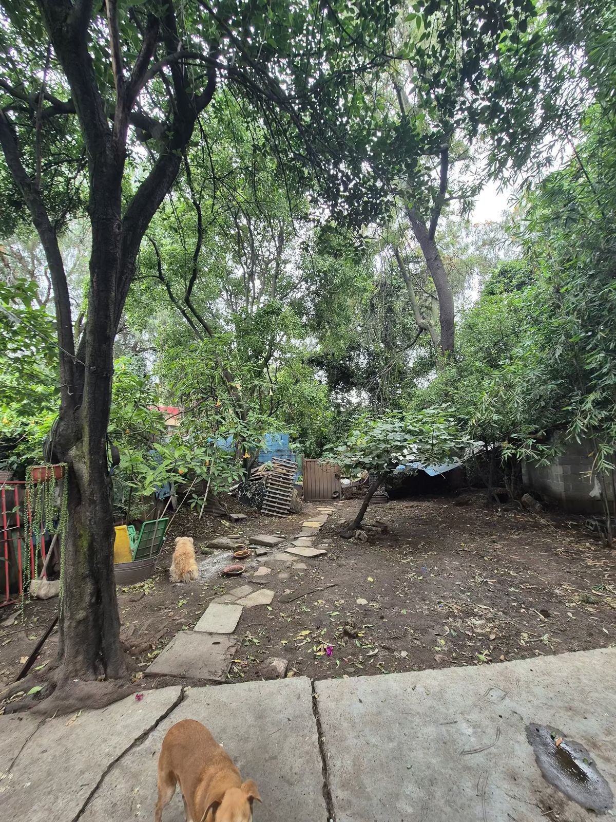 3 de 14: Foto del interior  terreno