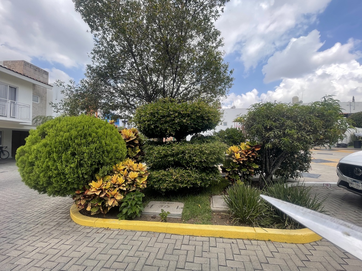 5 de 46