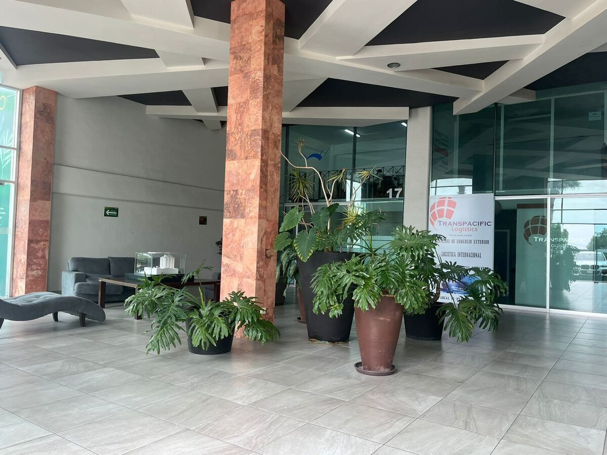 2 de 10