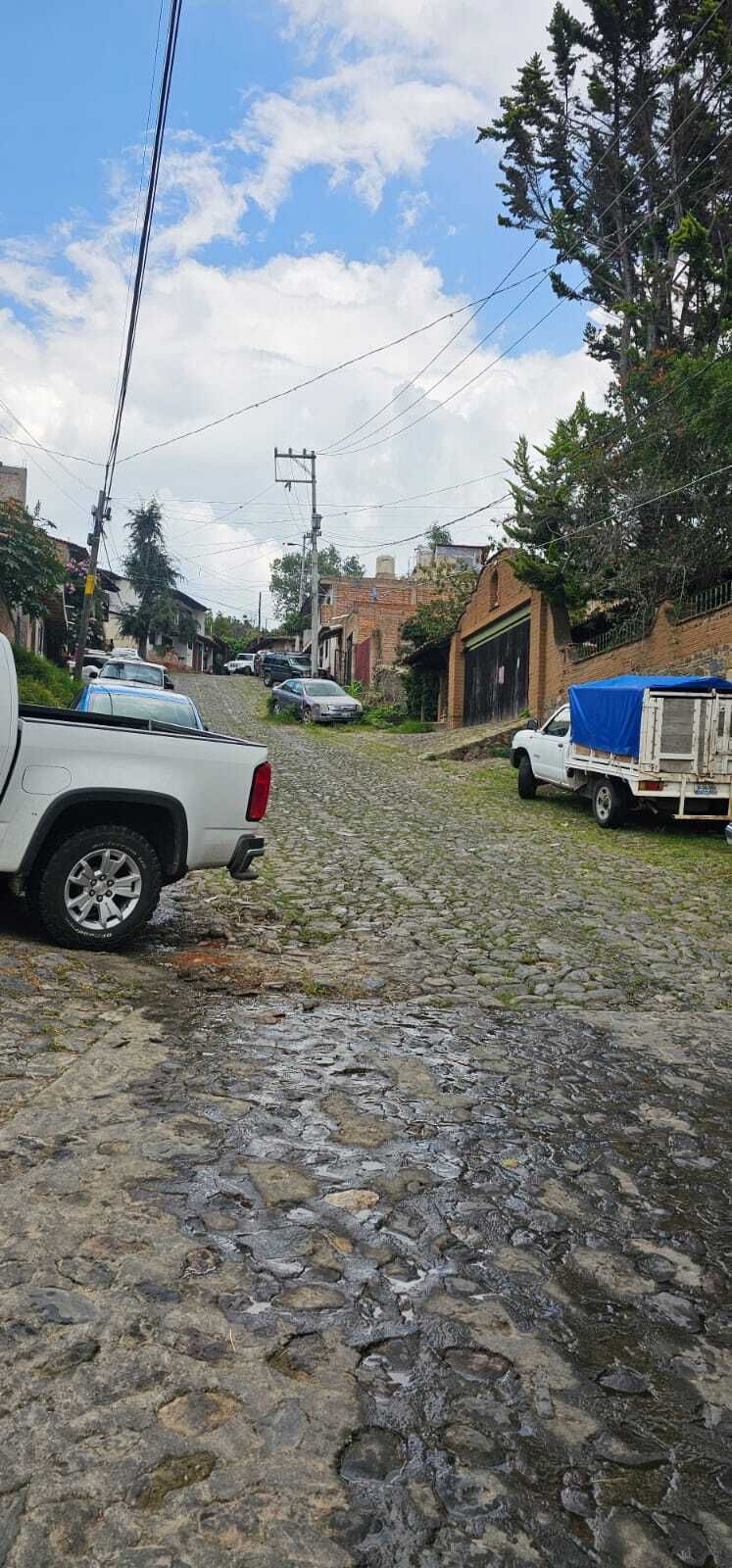 3 de 8