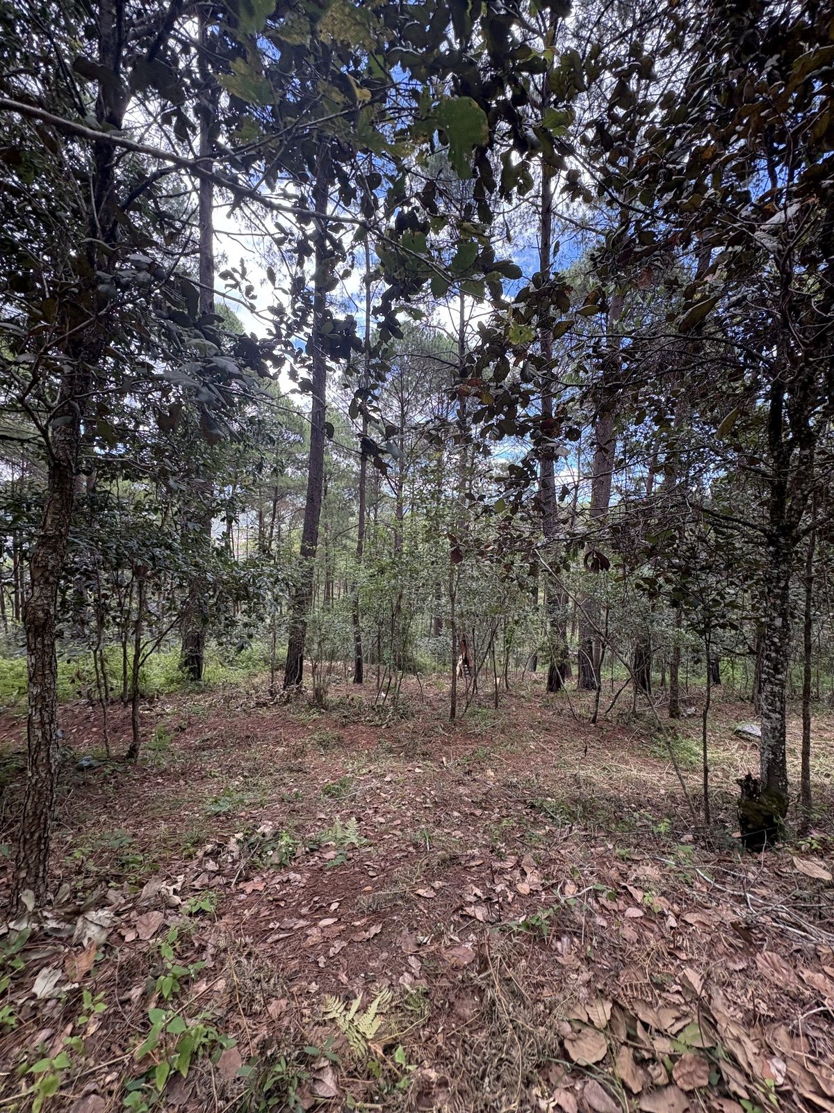 1 of 7: Vistas del
Terreno