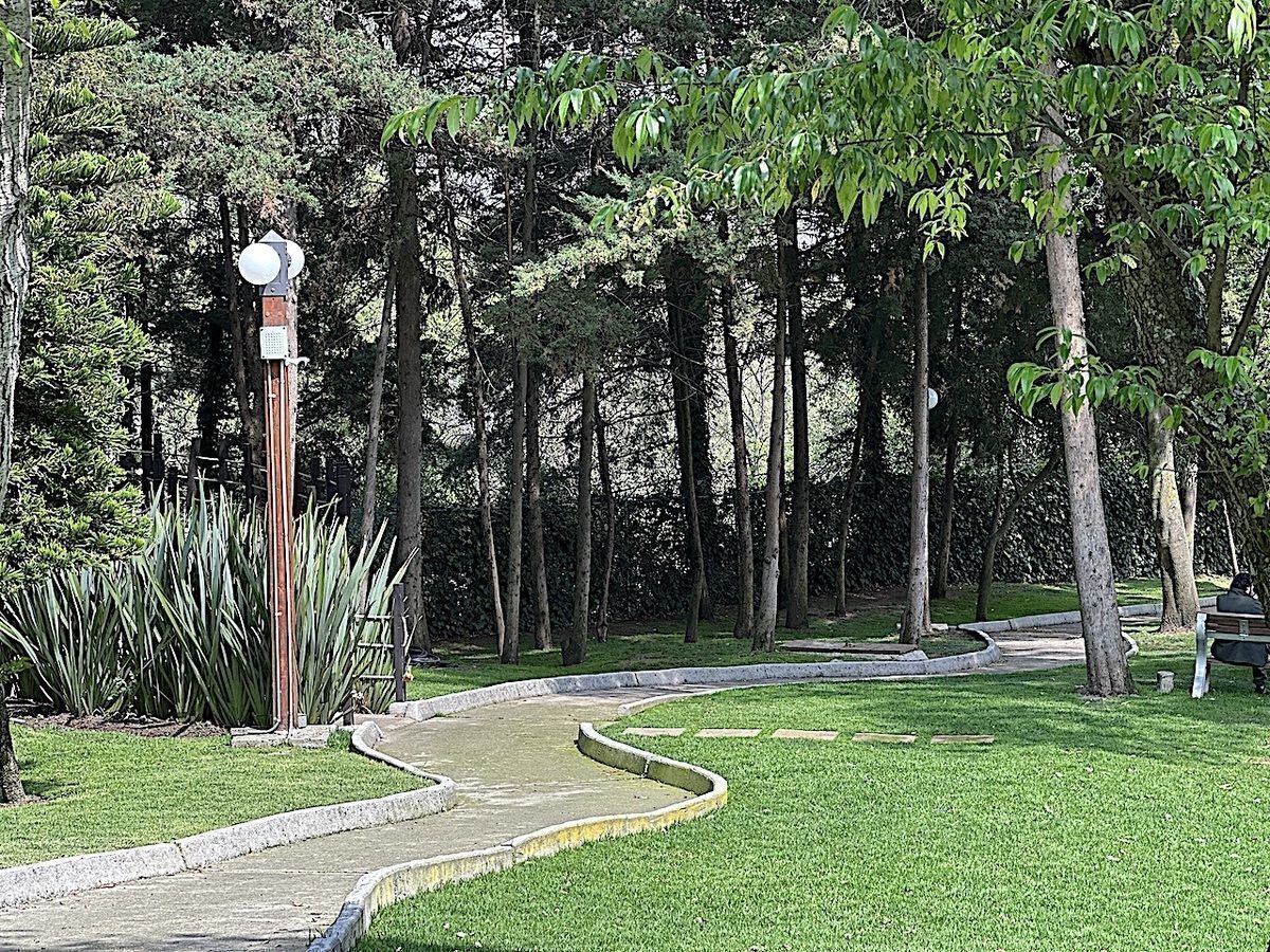 37 de 46