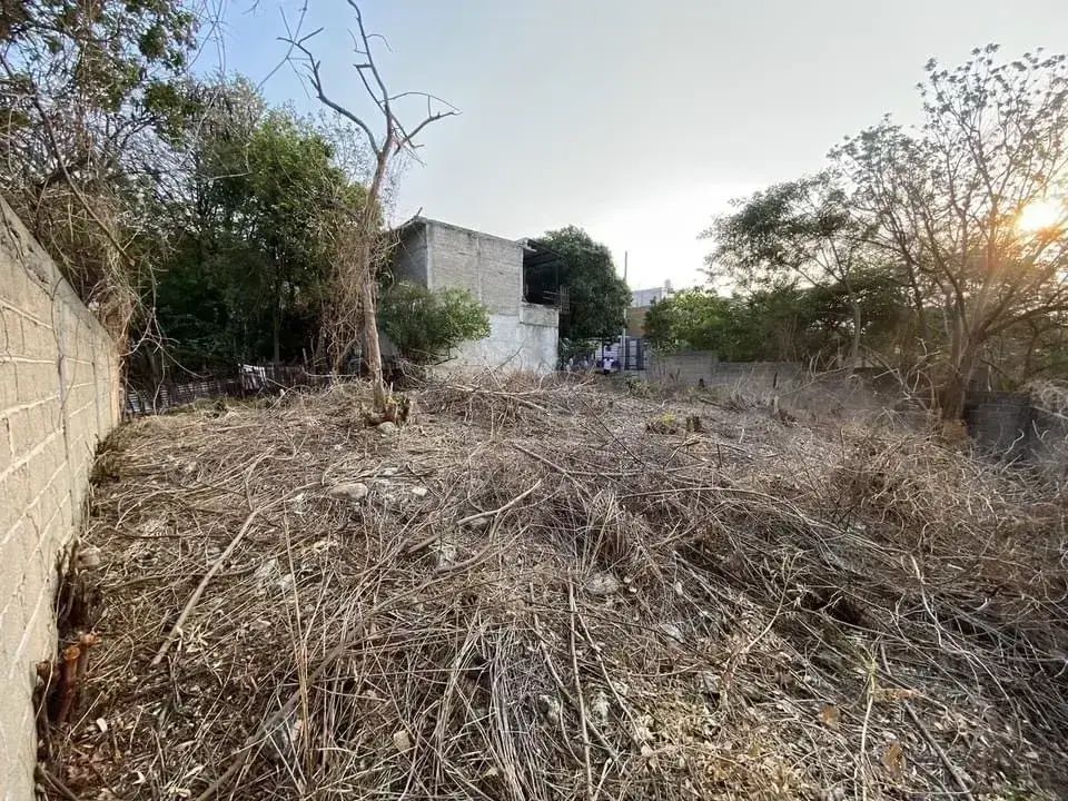 5 of 5