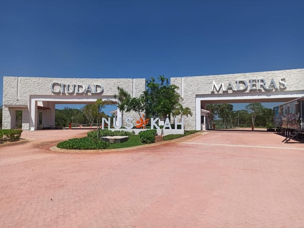 1 de 15