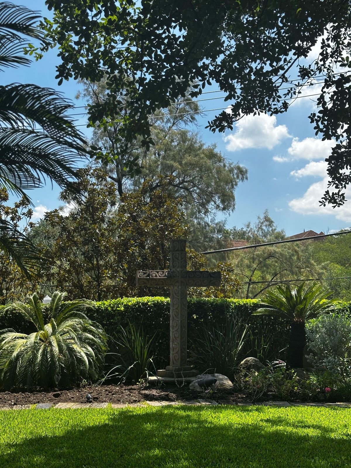 23 de 23: Jardín frontal