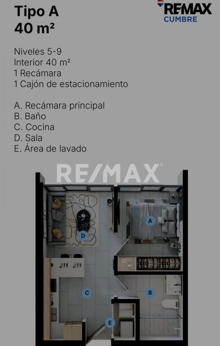 3 de 12