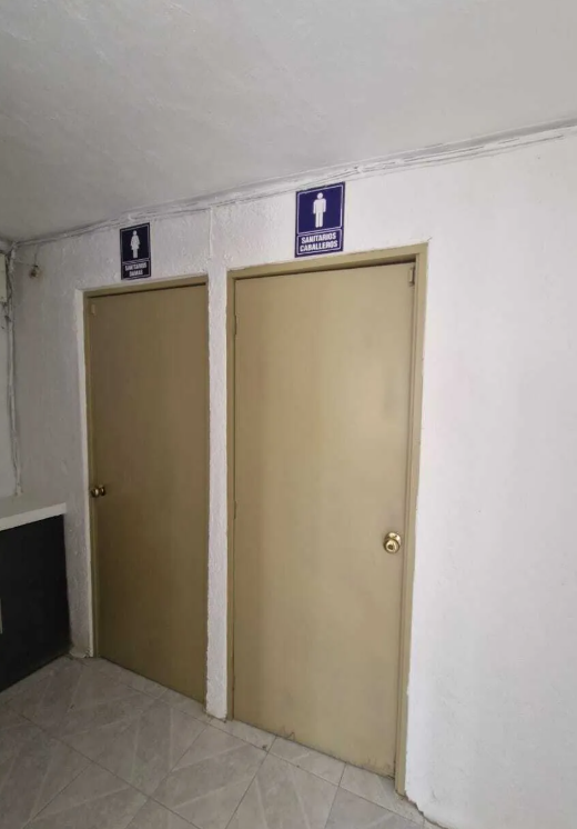 11 de 13