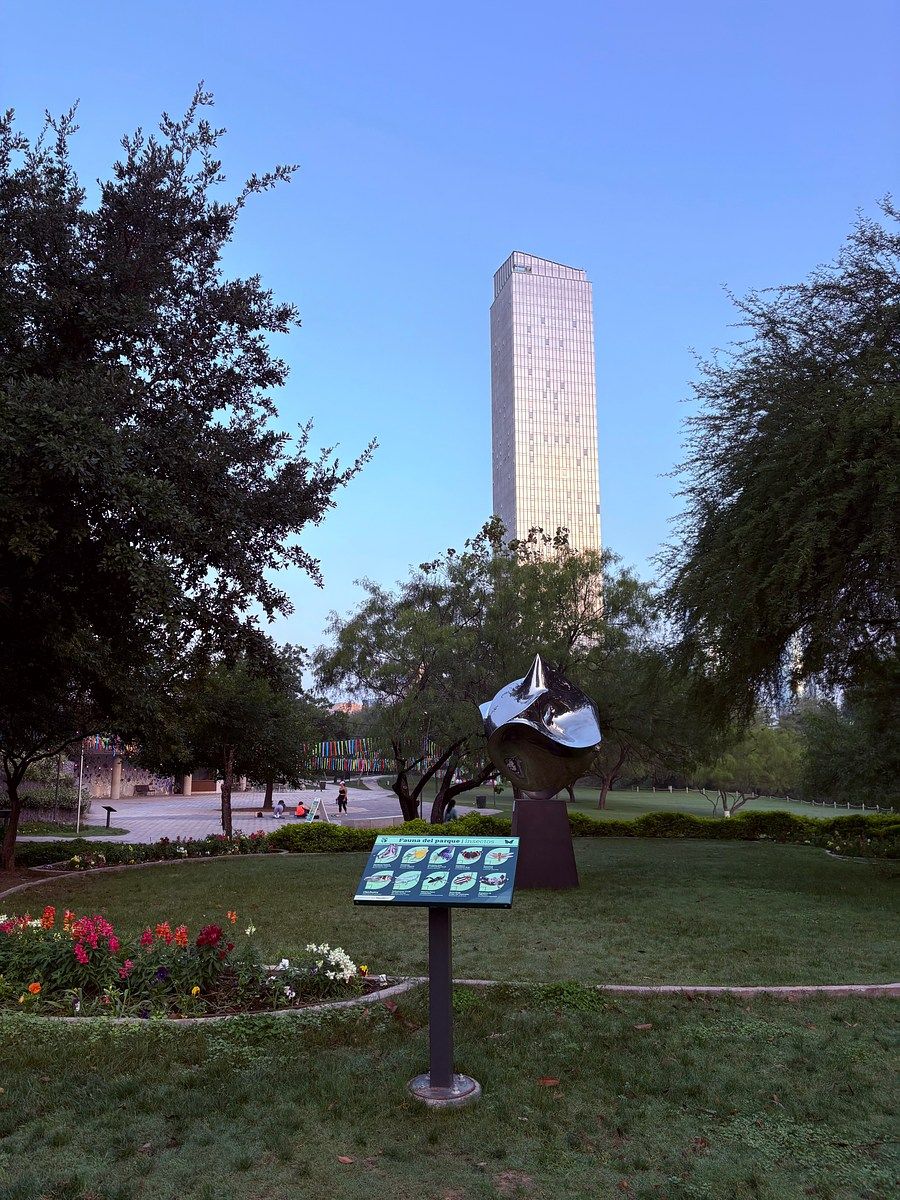 6 de 6
