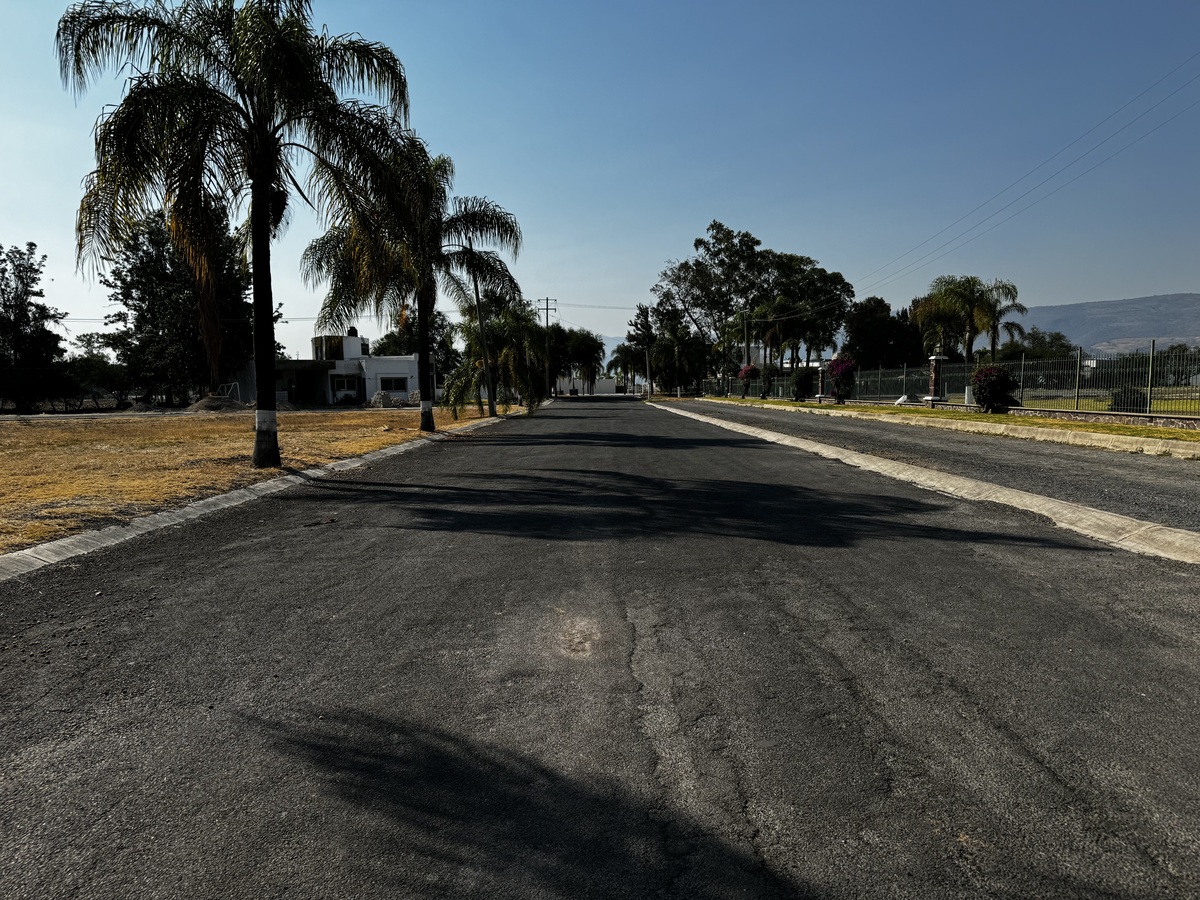 5 of 8: VIALIDADES
