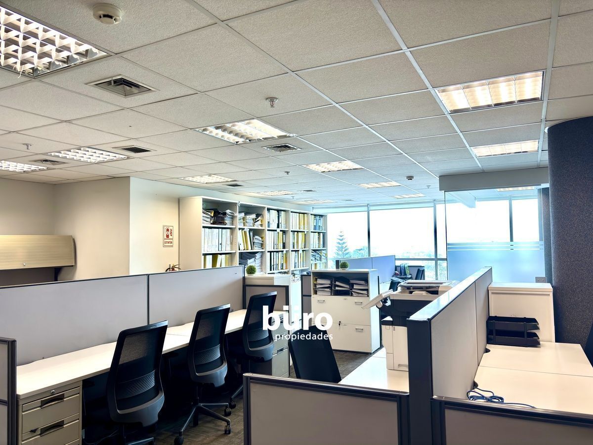 16 de 23: Pull 28 personas