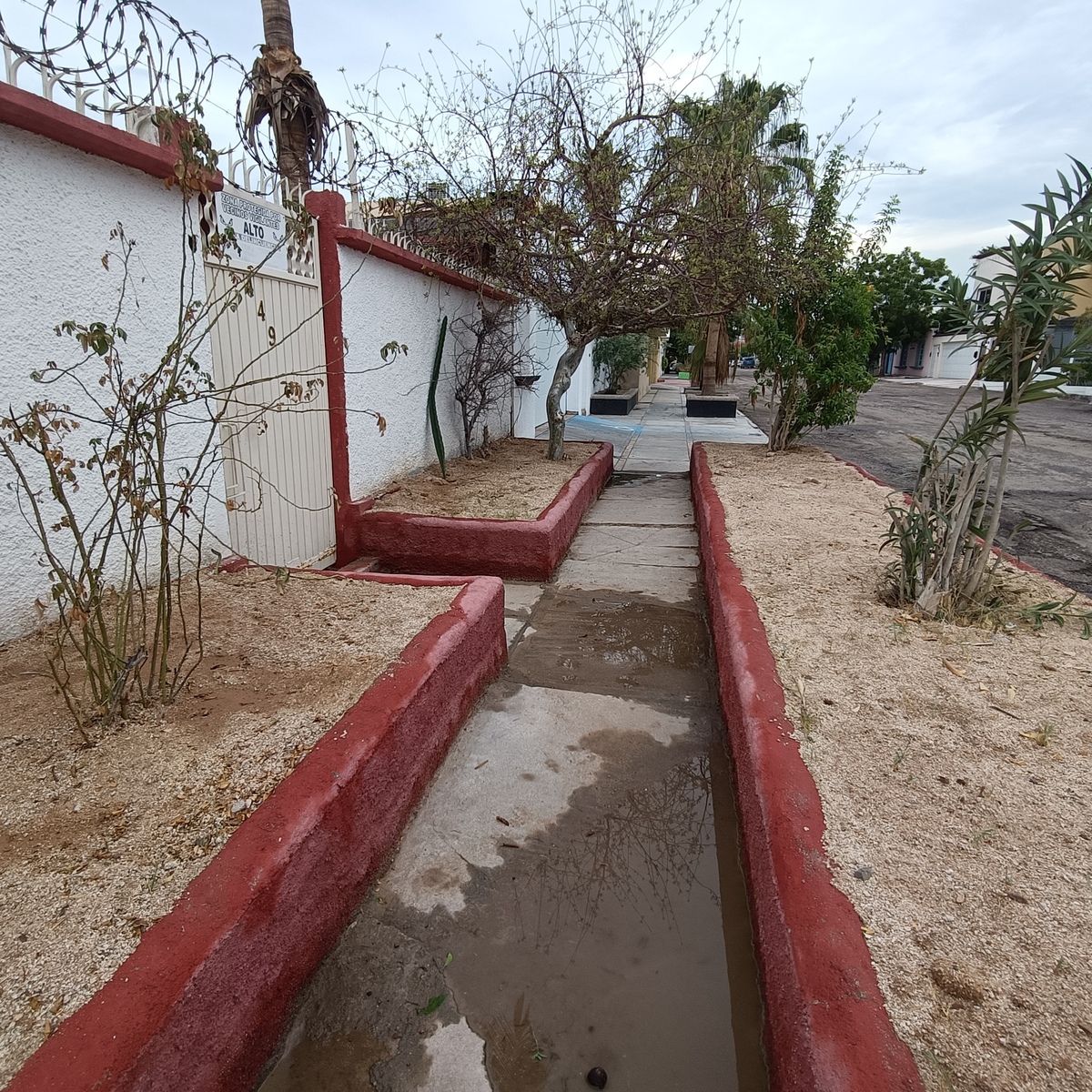 36 de 40: Jardineras