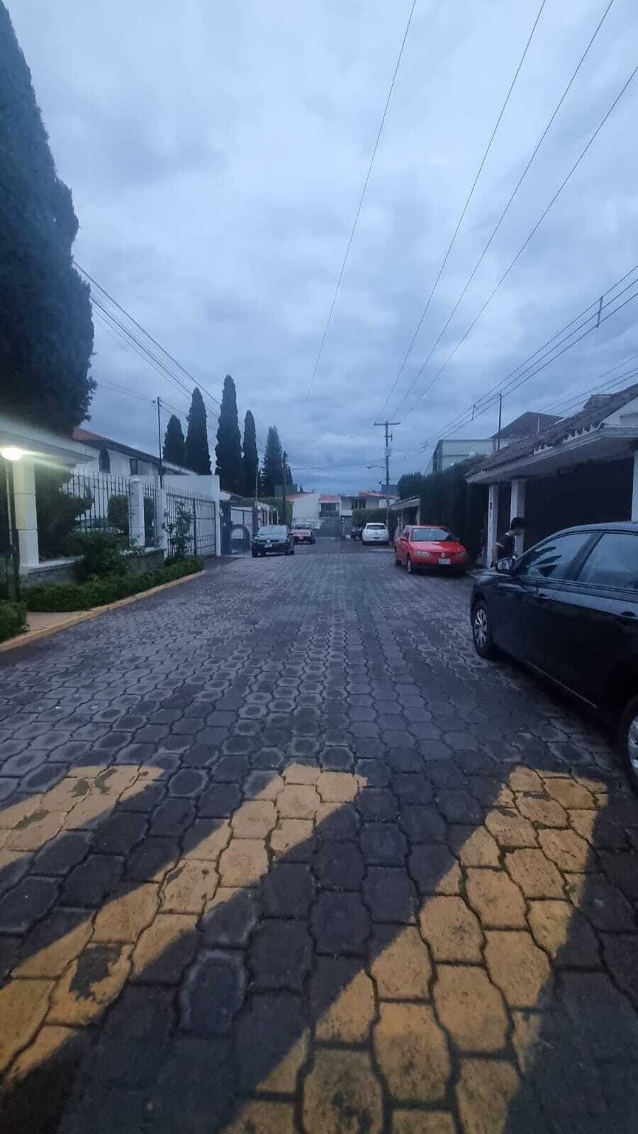 4 de 7
