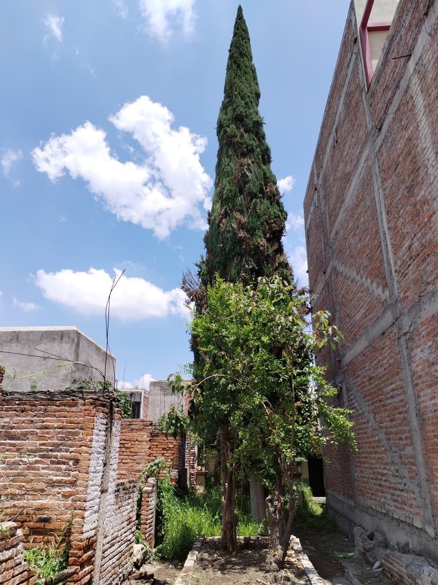 11 de 35