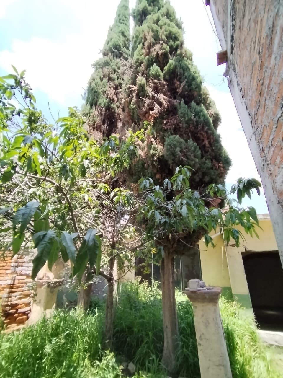 14 de 35
