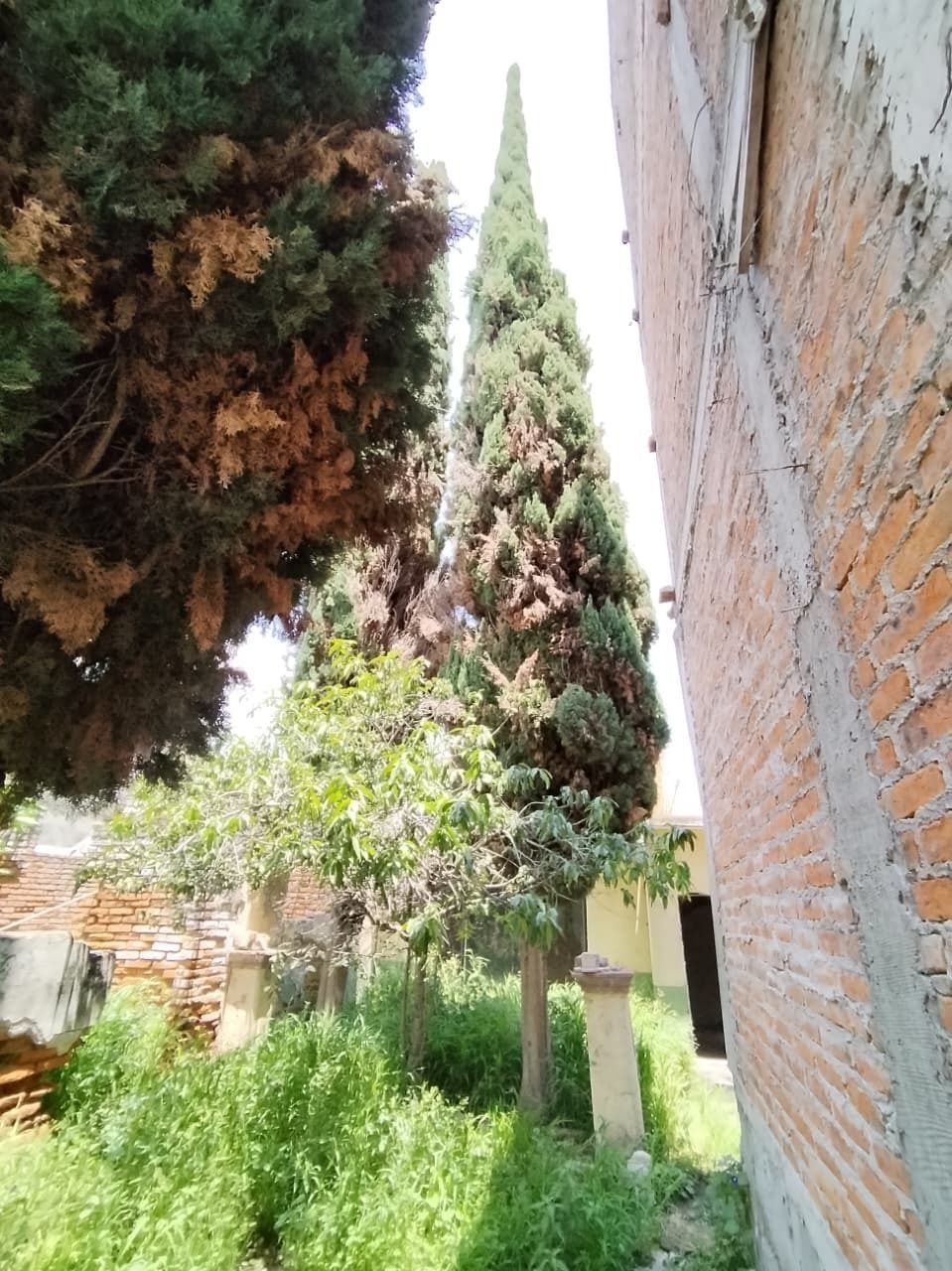 15 de 35