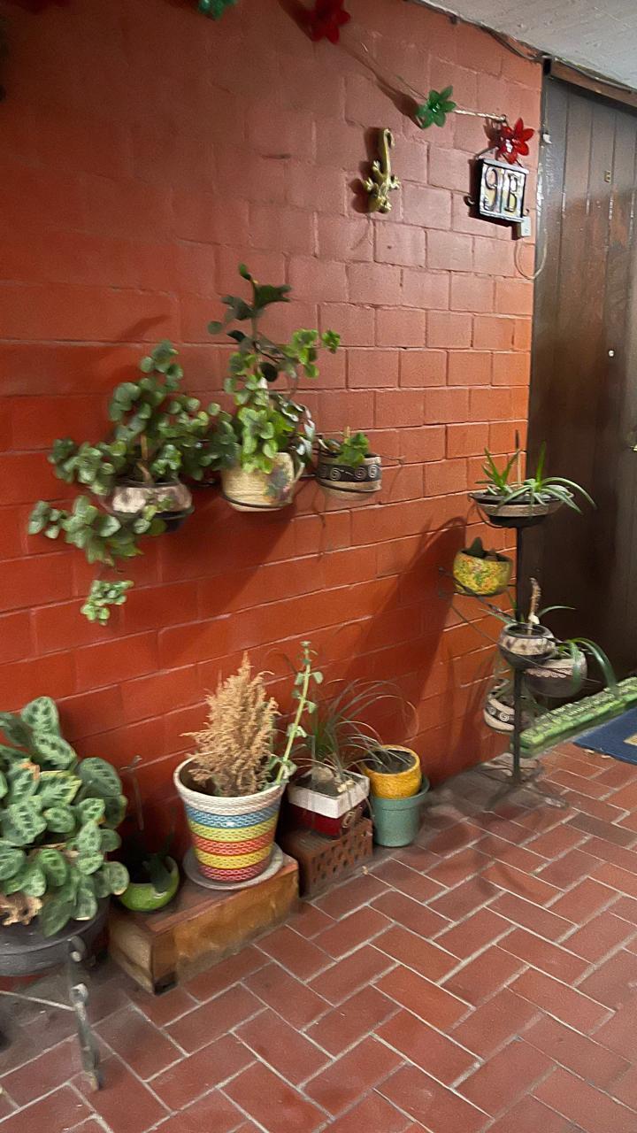 3 de 11