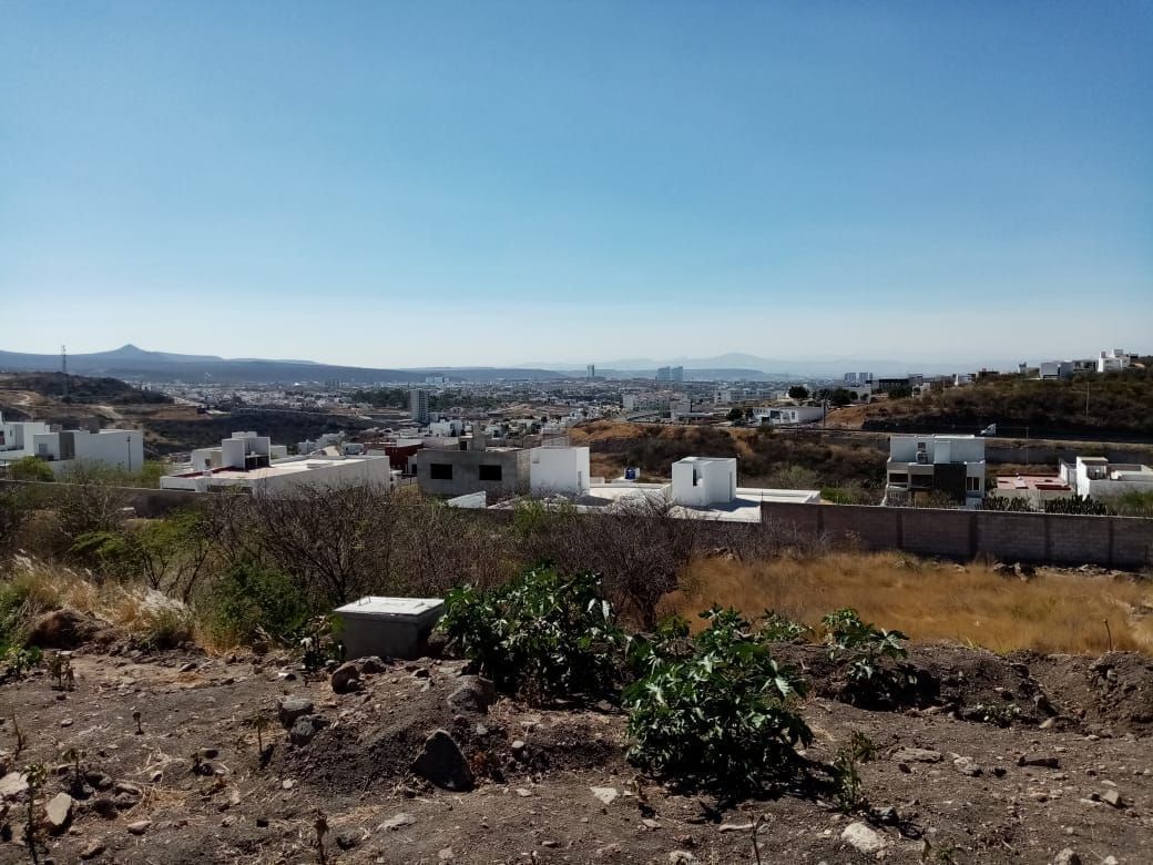 7 de 14