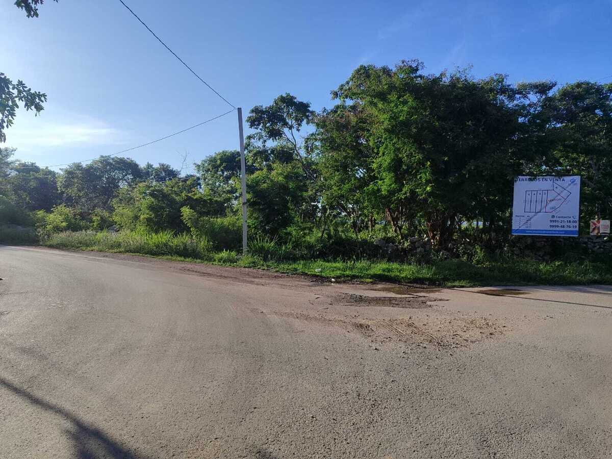 5 de 13