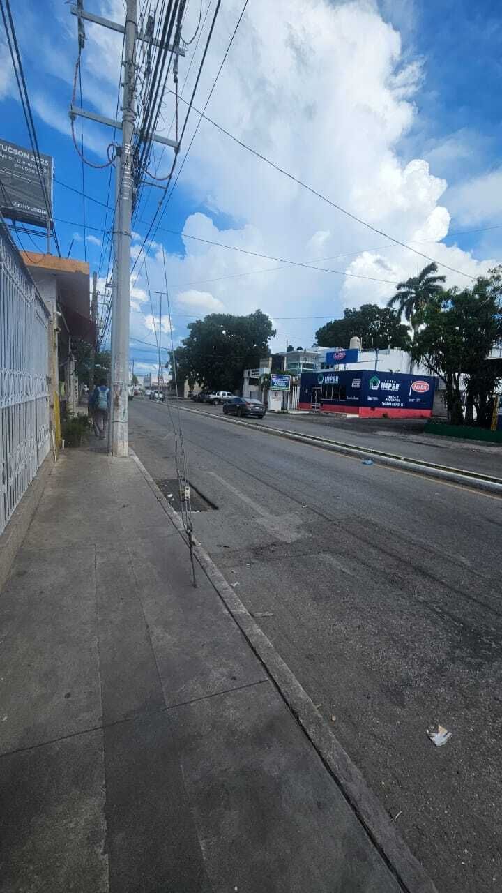 3 de 6