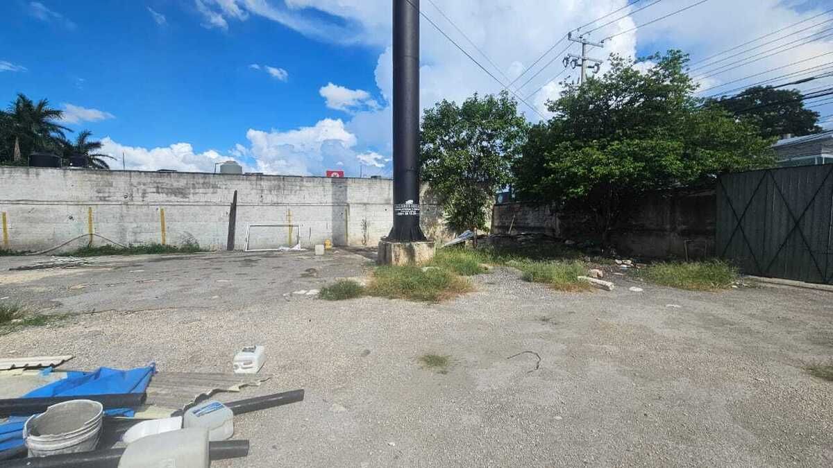 4 de 6