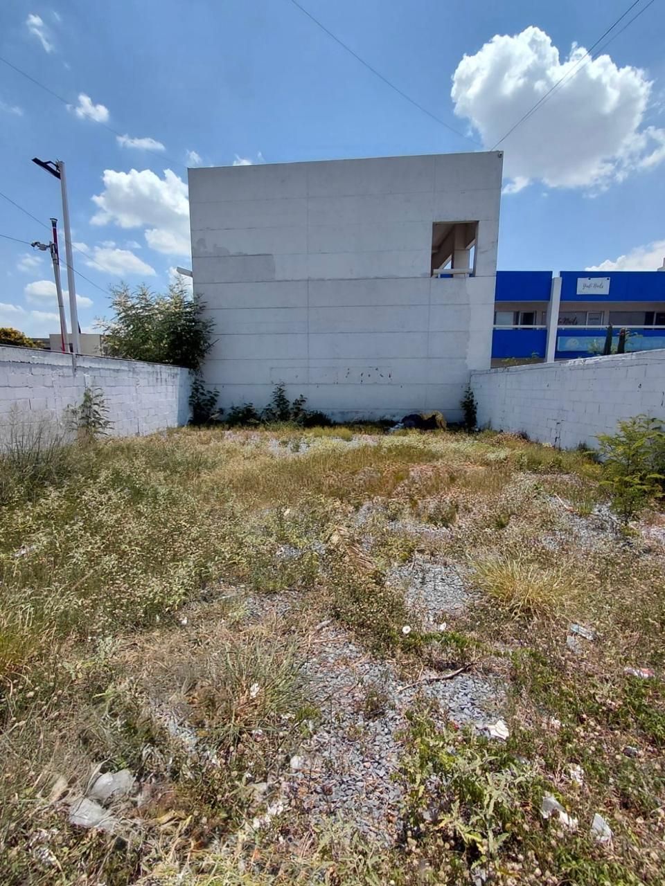 1 de 6