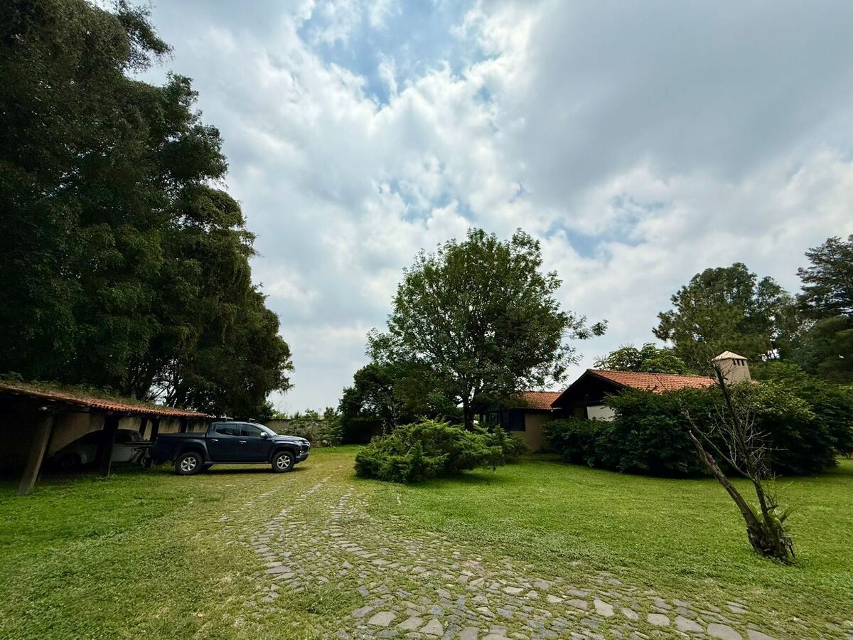 31 de 38